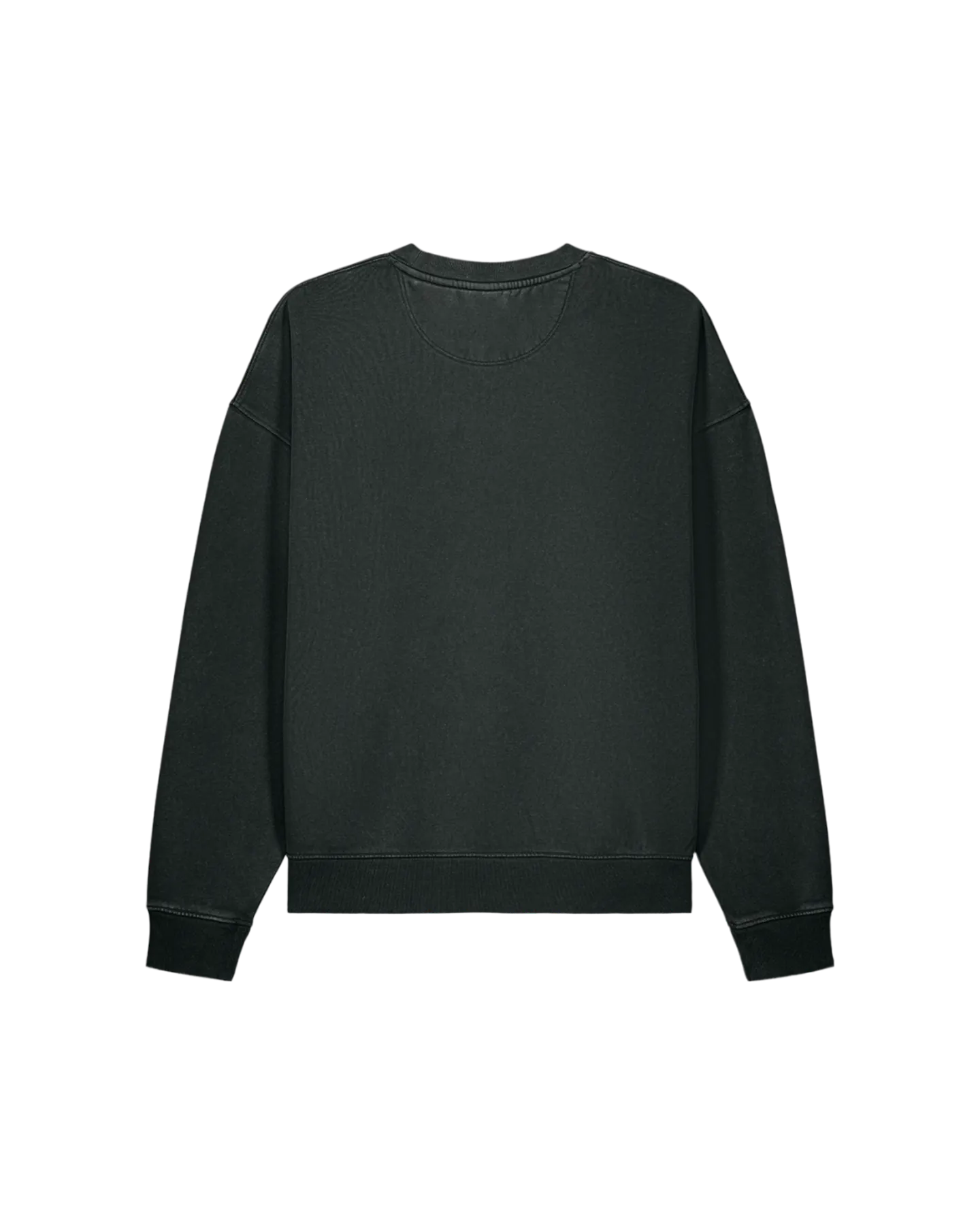 Embroidered PT Vintage Sweatshirt in G. Dyed Black Rock, back
